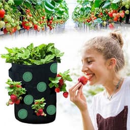 image-Strawberry Grow Bag Nonwoven Fabric Vertical Jardin Garden Hanging Plant Bag Vegetable Potato Planter Bag For Greenhouse