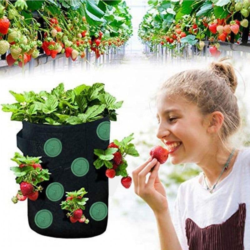 image-Strawberry Grow Bag Nonwoven Fabric Vertical Jardin Garden Hanging Plant Bag Vegetable Potato Planter Bag For Greenhouse