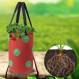 image-Strawberry Grow Bag Nonwoven Fabric Vertical Jardin Garden Hanging Plant Bag Vegetable Potato Planter Bag For Greenhouse