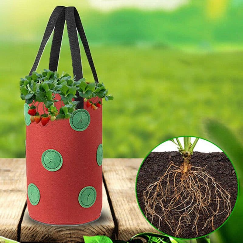 image-Strawberry Grow Bag Nonwoven Fabric Vertical Jardin Garden Hanging Plant Bag Vegetable Potato Planter Bag For Greenhouse