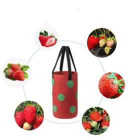 image-Strawberry Grow Bag Nonwoven Fabric Vertical Jardin Garden Hanging Plant Bag Vegetable Potato Planter Bag For Greenhouse