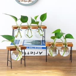 image-Nordic Style Creative Wooden Frame Hydroponic Vase