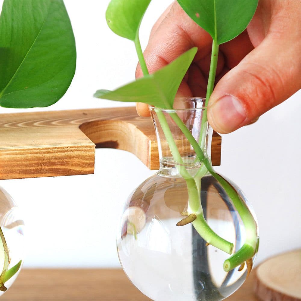 image-Nordic Style Creative Wooden Frame Hydroponic Vase