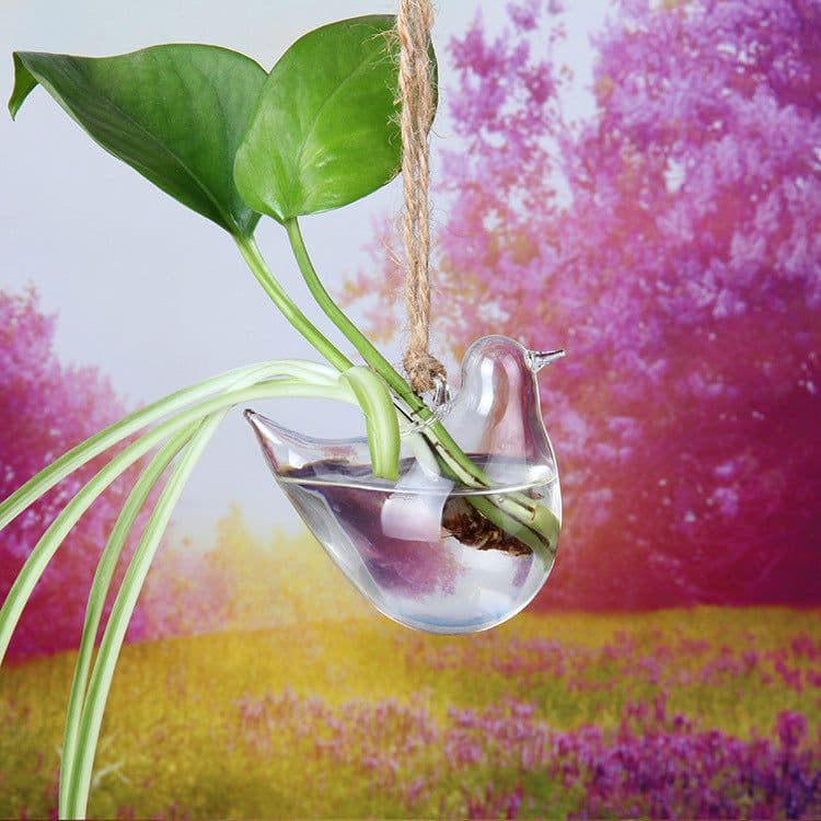 image-Creative Hanging Glass Vase Transparent Hydroponic Glass Bottle