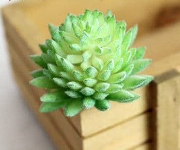 image-Indoor Succulent Green Plants Simulation Plants Decorative Flowers And Plants