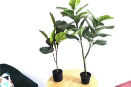 image-Simulation Plant Qin Yerong Living Room Decoration With Different Green Plants Potted Plants