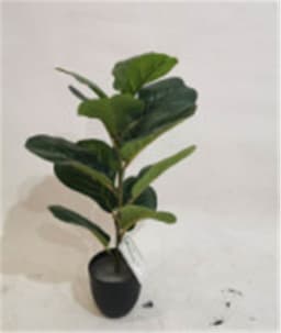 image-Simulation Plant Qin Yerong Living Room Decoration With Different Green Plants Potted Plants