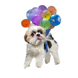 image-Cartoon Cute Dog Auto Hanging Ornament with Colorful Balloon Parachute Home Accessories Decorations