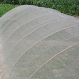 image-Agricultural Insect Nets, Gardening Supplies, Organic Vegetables, Flowers, Etc. Physical Insect Control
