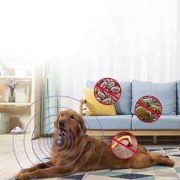 image-Pet Ultrasonic Pest Repeller USB Pet Insect SuppressorMosquito Repellent Mole Repeller Non-Toxic Pet Insect Repellent
