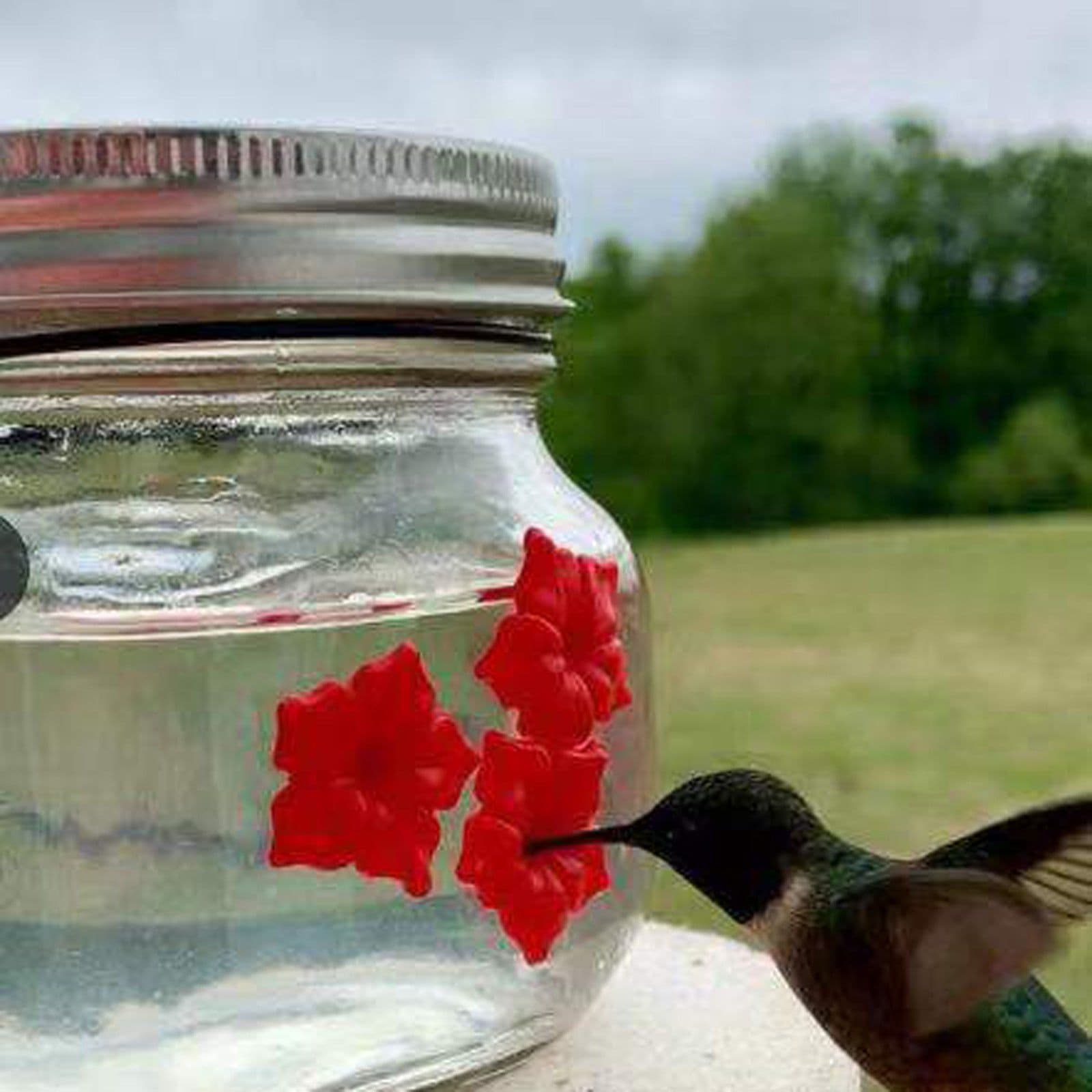 image-Hummingbird Feeder Plastic Flower Bird Feeder Bird Water Feeder Bottle Hanging Garden Outdoor Pet Supplies