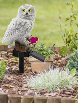 image-Solar Owl Garden Light Outdoor LED Lawn Lamp For Garden Decoration Waterproof Christmas Lights Outdoor Solar Lamp Post