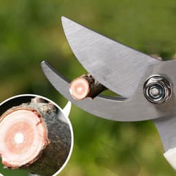 image-Stainless Steel Fruit Tree Gardening Pruning Branches Garden Labor-saving Flower Pruning Shears Household Strong Shears