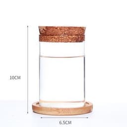 image-Glass Eco Bottle Gardening Flower Pot Office Glass Vase