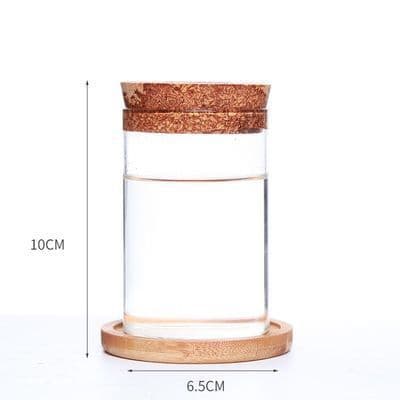 image-Glass Eco Bottle Gardening Flower Pot Office Glass Vase