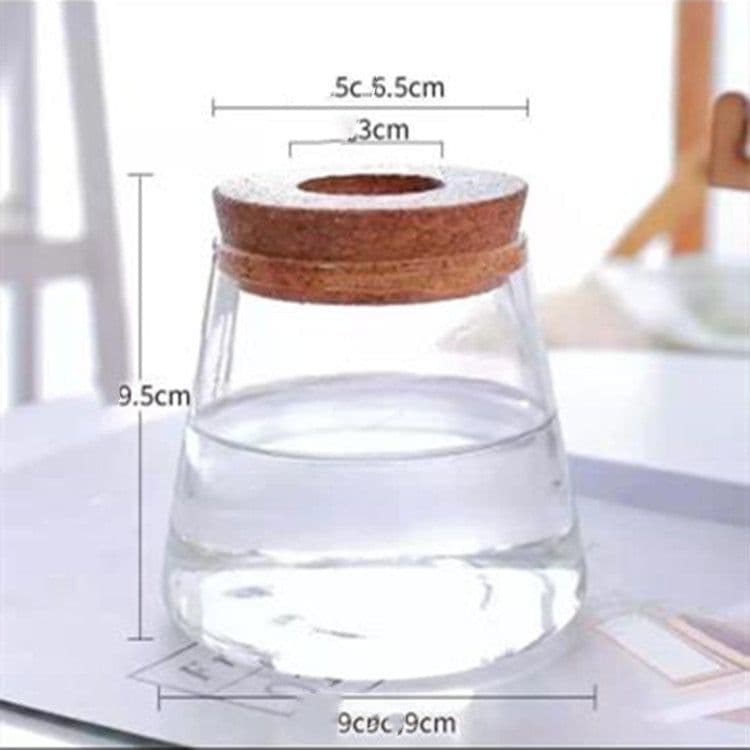 image-Glass Eco Bottle Gardening Flower Pot Office Glass Vase