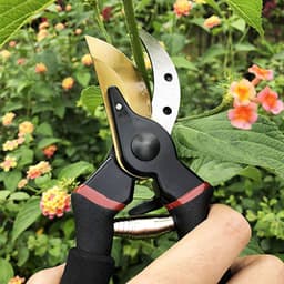 image-Garden Tool Pruning Shears Wholesale Garden Gardening Shears Branch Shears With Safety Lock