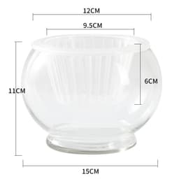 image-Hydroponic Plant Glass Bottle Transparent Glass Vase