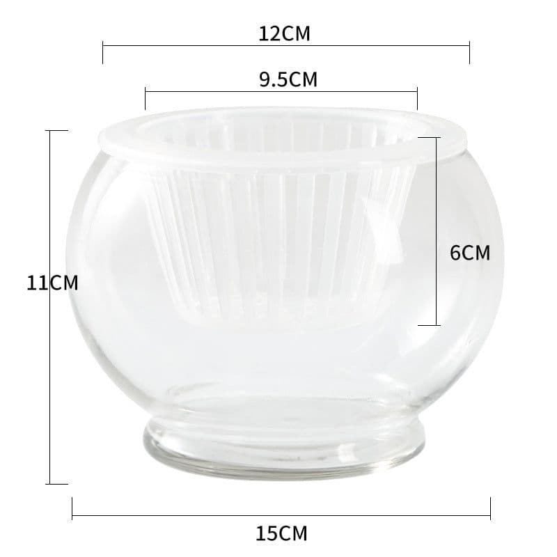 image-Hydroponic Plant Glass Bottle Transparent Glass Vase