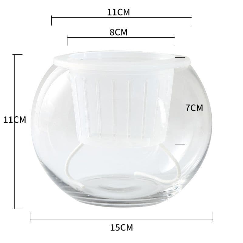 image-Hydroponic Plant Glass Bottle Transparent Glass Vase