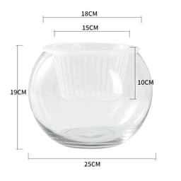 image-Hydroponic Plant Glass Bottle Transparent Glass Vase