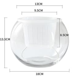 image-Hydroponic Plant Glass Bottle Transparent Glass Vase