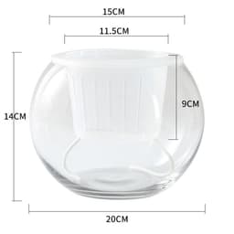 image-Hydroponic Plant Glass Bottle Transparent Glass Vase