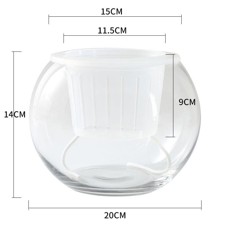 image-Hydroponic Plant Glass Bottle Transparent Glass Vase