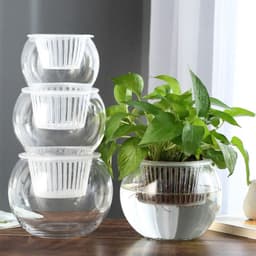 image-Hydroponic Plant Glass Bottle Transparent Glass Vase