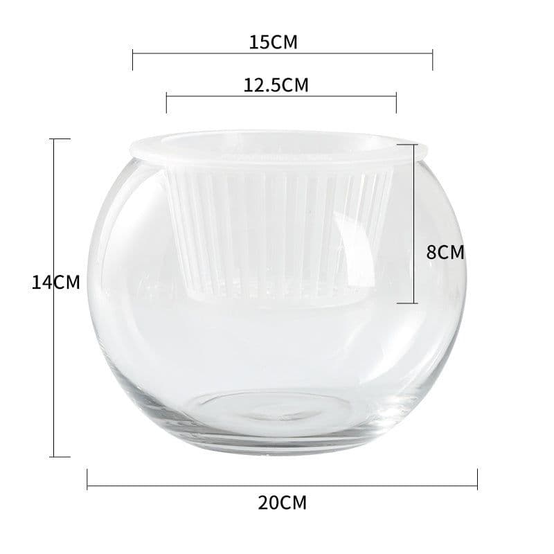 image-Hydroponic Plant Glass Bottle Transparent Glass Vase