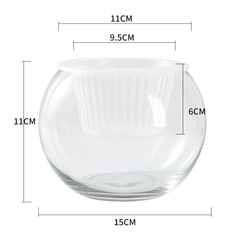 image-Hydroponic Plant Glass Bottle Transparent Glass Vase