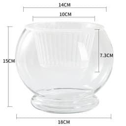 image-Hydroponic Plant Glass Bottle Transparent Glass Vase