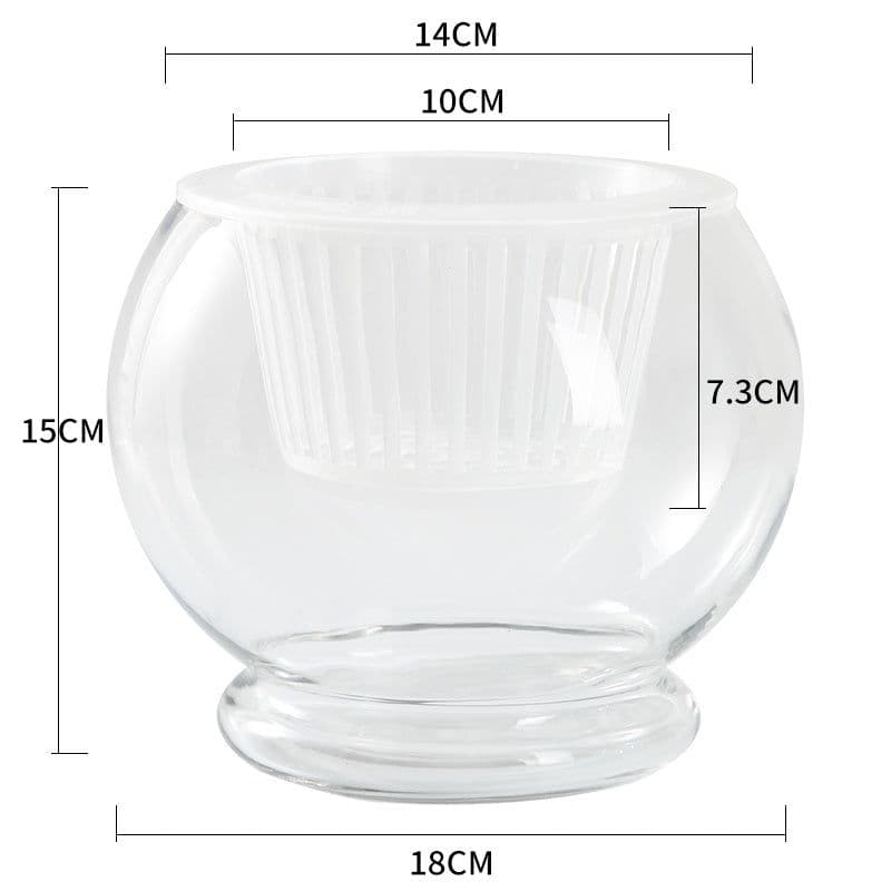 image-Hydroponic Plant Glass Bottle Transparent Glass Vase