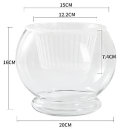 image-Hydroponic Plant Glass Bottle Transparent Glass Vase