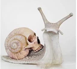 image-Snail Skull Sculpture Gothic Decoration Snail Statue Patio Snail Figurine Crafts Home Decoration Accessories Kawaii Room Decor