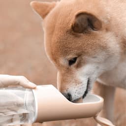 image-Pet Cats And Dogs Portable Outdoor Drinking Cups Water Food Cups Convenient Non-Wet Mouth Accompanying Cups Kettle Pet Supplies