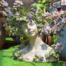 image-Succulent Goddess Flower Pot Retro Creative Decoration Shop Gardening Balcony