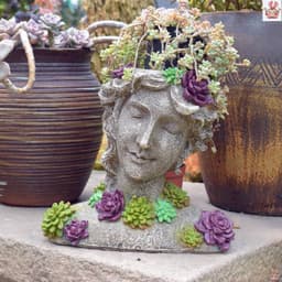 image-Succulent Goddess Flower Pot Retro Creative Decoration Shop Gardening Balcony