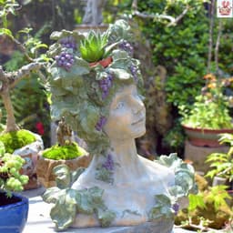 image-Succulent Goddess Flower Pot Retro Creative Decoration Shop Gardening Balcony