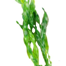 image-Aquarium Fish Tank Decoration Plastic Plants