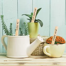 image-Gardening Wooden Plant Sign Planting Flower Blank Label Card