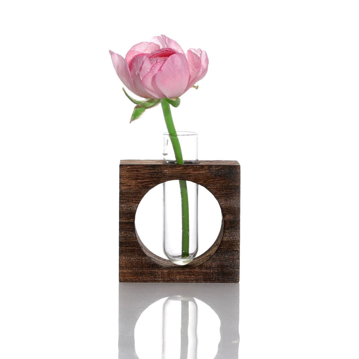 image-Hanging Hydroponic Transparent Glass Vase Home Gardening Plant Hanging Bottle Set