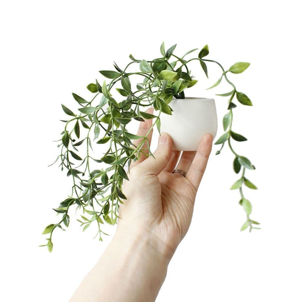 image-Succulent Plant Fridge Magnets Label Mini Bonsai Magnet Button Potted Simulation Plant Refrigerator Message Sticker Home Decor
