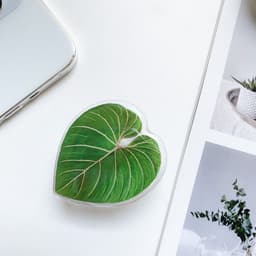 image-Cute Green Leaves Smartphone Holder Finger Stand Support For Phone Handband