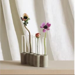 image-Hydroponic Plants Flowers Glass Test Tube Vase