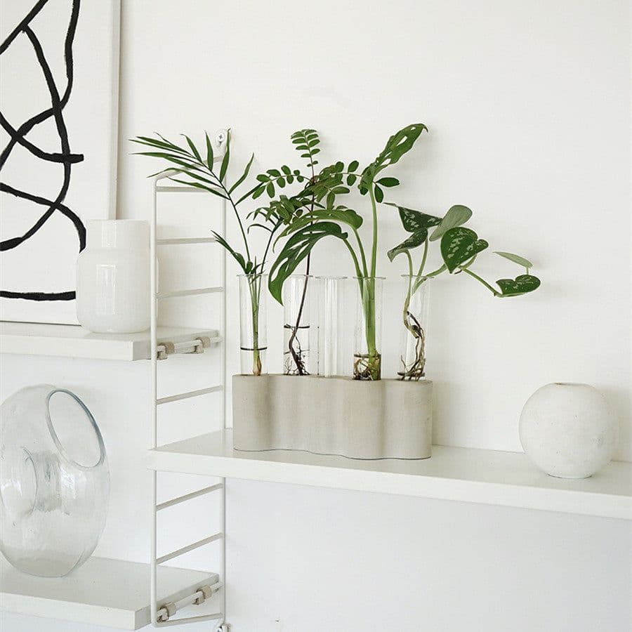 image-Hydroponic Plants Flowers Glass Test Tube Vase