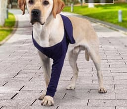 image-New Anti-licking Sleeve For Postoperative Recovery Of Dog Legs Pet