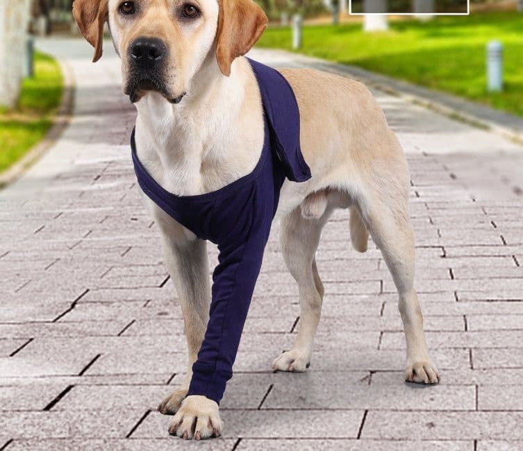 image-New Anti-licking Sleeve For Postoperative Recovery Of Dog Legs Pet