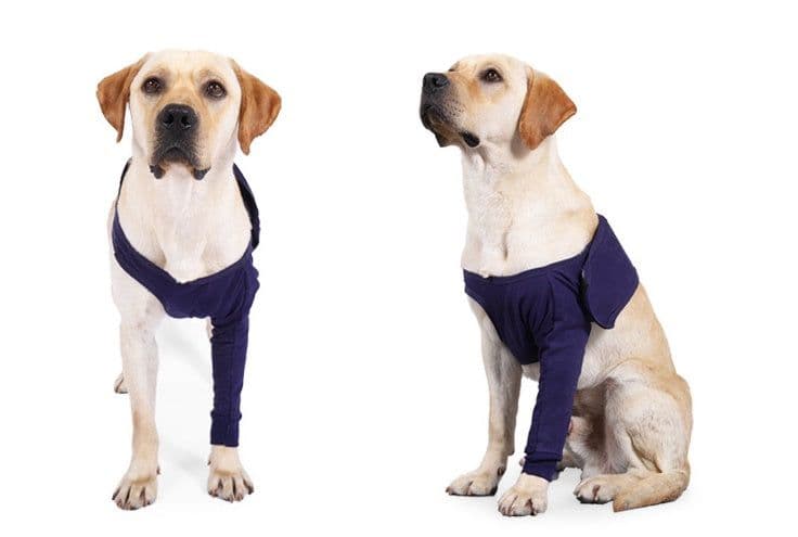 image-New Anti-licking Sleeve For Postoperative Recovery Of Dog Legs Pet