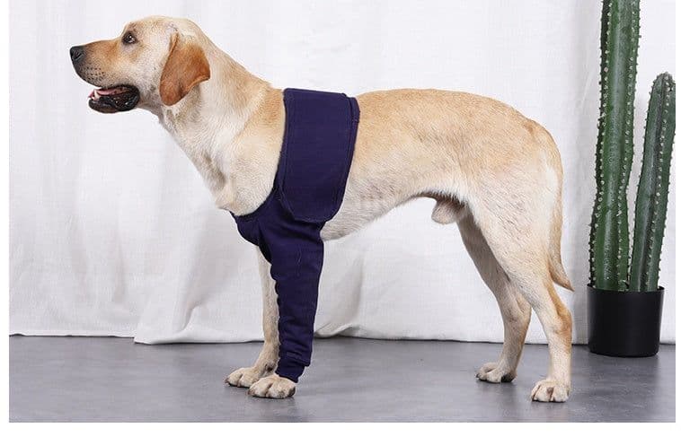 image-New Anti-licking Sleeve For Postoperative Recovery Of Dog Legs Pet